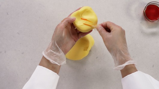 Fundamentals of Rolled Fondant Making & Coloring
