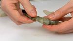 How to Clean Shrimp or Prawns