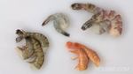 How to Buy Fresh Shrimp or Prawns