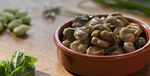 Fresh Fava Beans With Mint and Scallions
