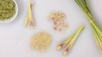 What is and How to Prepare Lemongrass?