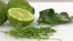 What is Kaffir Lime?