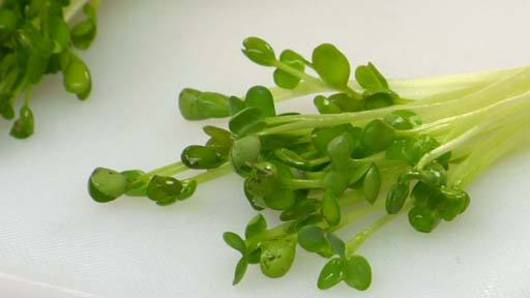 What are Kaiware Sprouts?