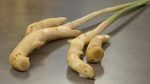 What is Young Ginger?