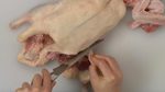 How to Butcher a Duck