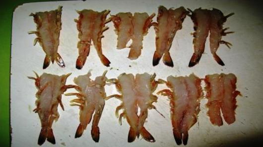 Preparing the prawns.