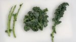 How to Prepare Kale