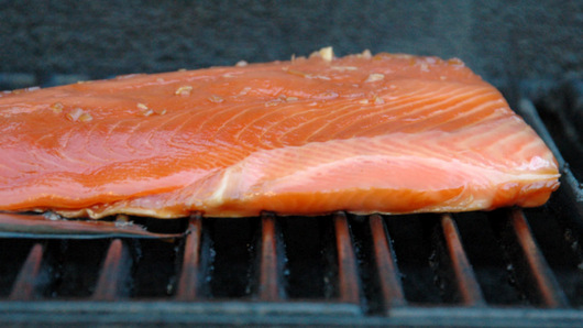 Cooking the Salmon