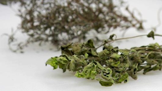 How to Dry Fresh Herbs