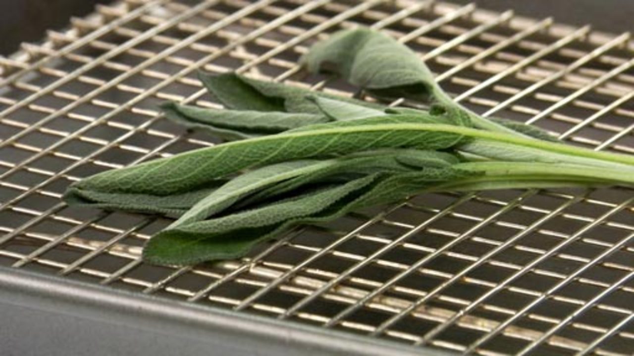 How to Freeze Fresh Herbs