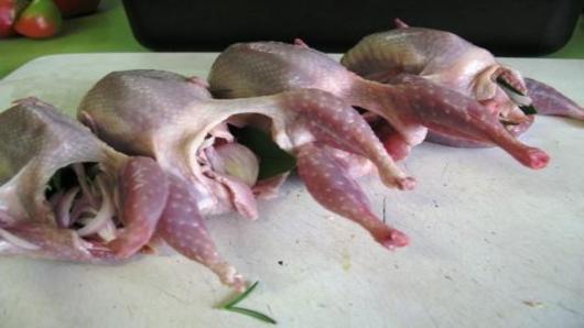 Prepare the birds