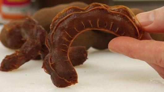 What is Tamarind?