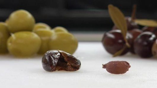 How to Pit Olives