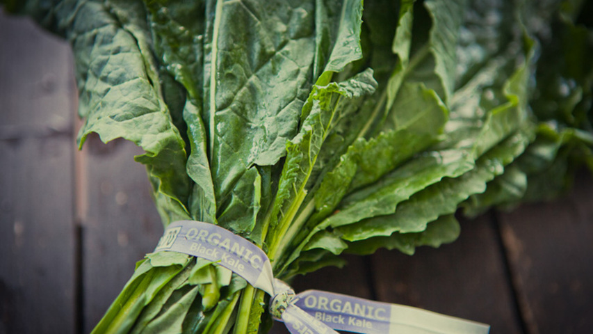 Plant-Based Series Overview & Orientation