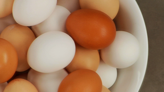Eggs | Anatomy, Boiling & Scrambling