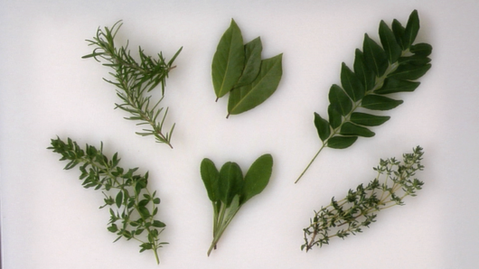 How to Use & Cook w/ Herbs