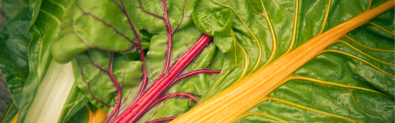 Plant-Based Cooking: Level 2