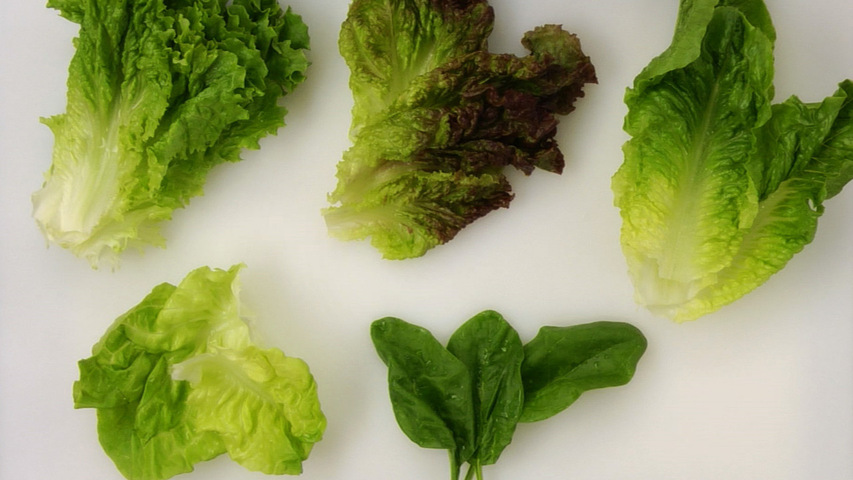 Salads & Vinaigrettes