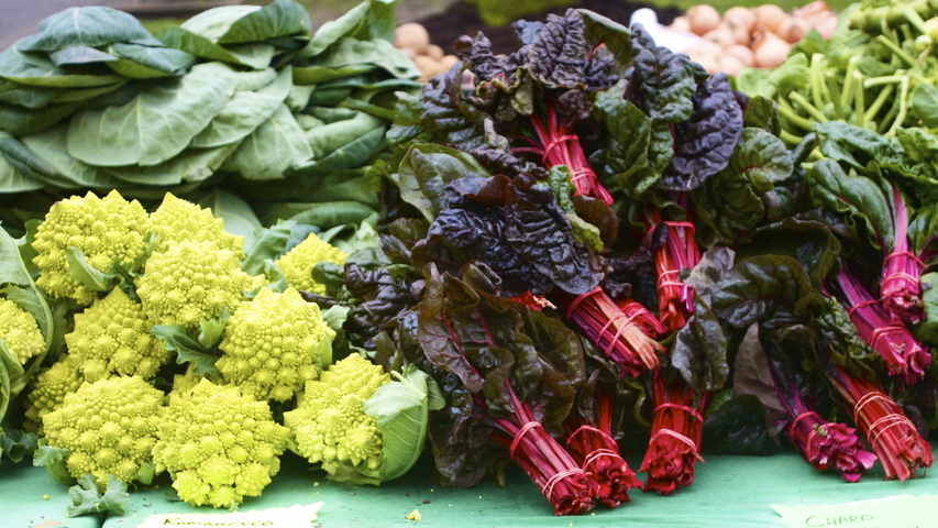 Plant-Based Nutrition