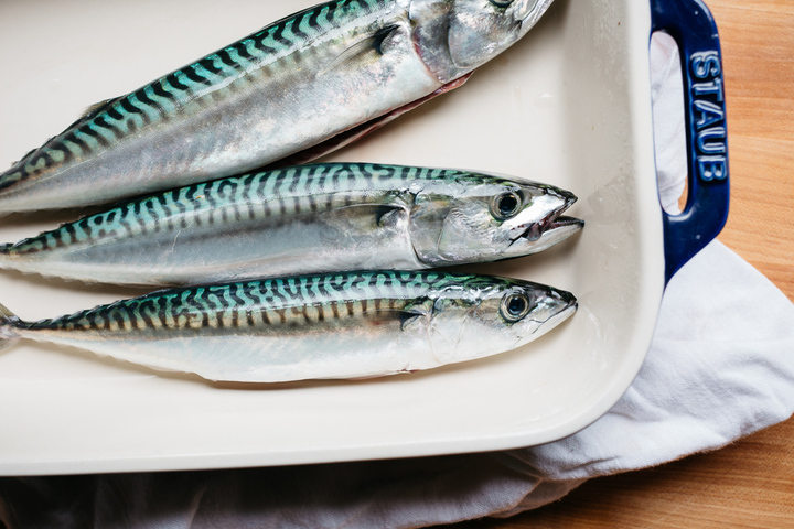 Why Sustainable Seafood Matters