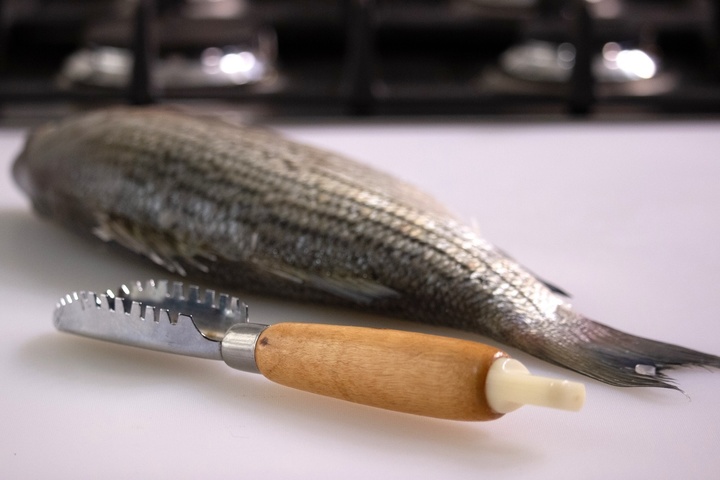 Seafood Handling & Fabrication Skills 
