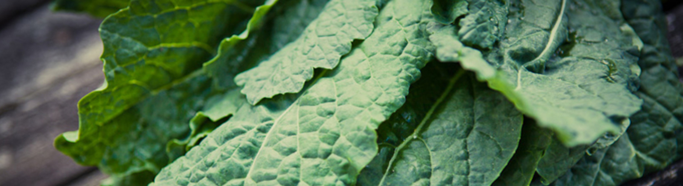 Plant-Based Cooking: An Introduction