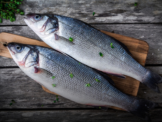 Fish 