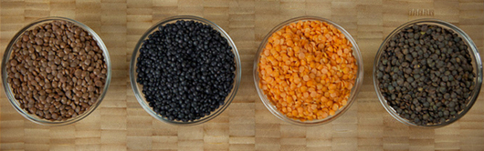 Grains & Legumes
