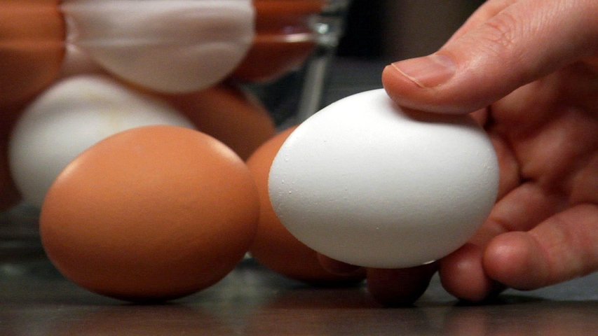 Eggs