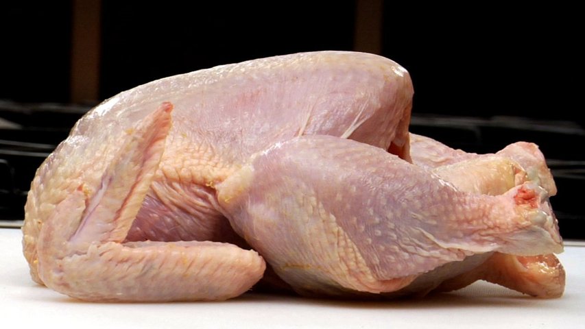 Poultry 