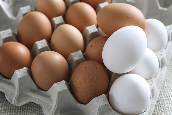 Eggs 