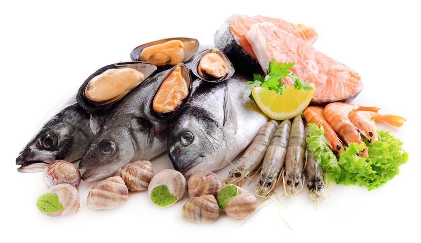 Fish and Shellfish