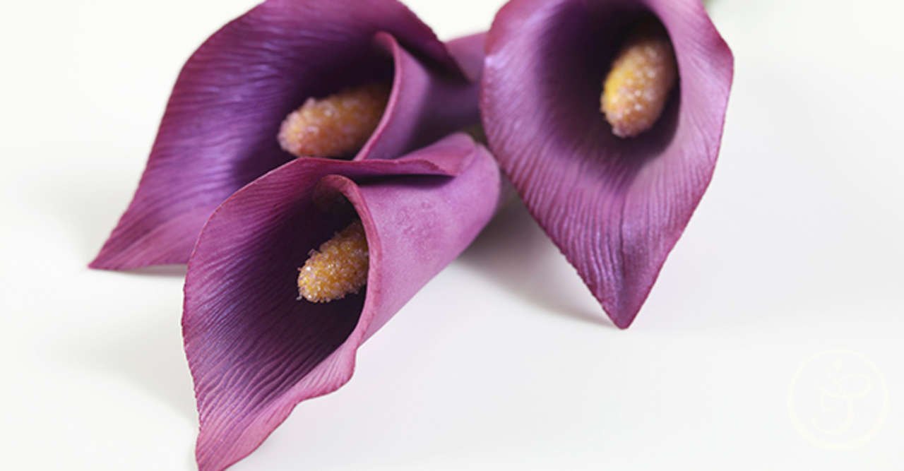 Advanced Gum Paste Flowers